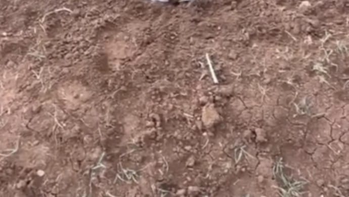 690x390cc-srnk-22-02-2025-silopi-olu-bebek-bulundu