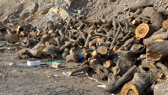 690x390cc-hkr-25-03-2025-agac-kym4