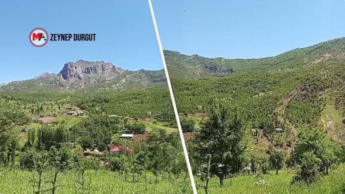 690x450nc-haber-logo-srnk-21-05-2025-melesa-hemka-agac-kesimi-tehditi