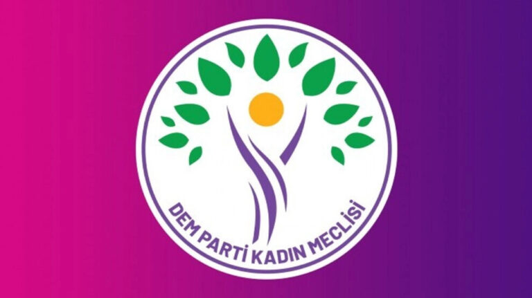 20240421-690x390cc-ank-13-04-2024-kadin-meclisi-sirnak-aciklamasi-jpg-webp8c855f-image