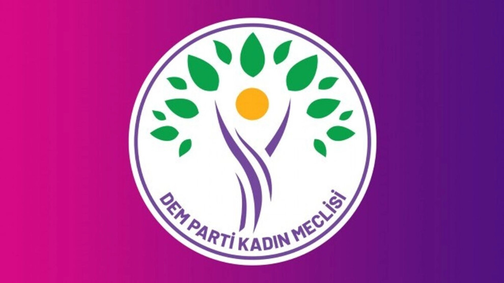 20240421-690x390cc-ank-13-04-2024-kadin-meclisi-sirnak-aciklamasi-jpg-webp8c855f-image